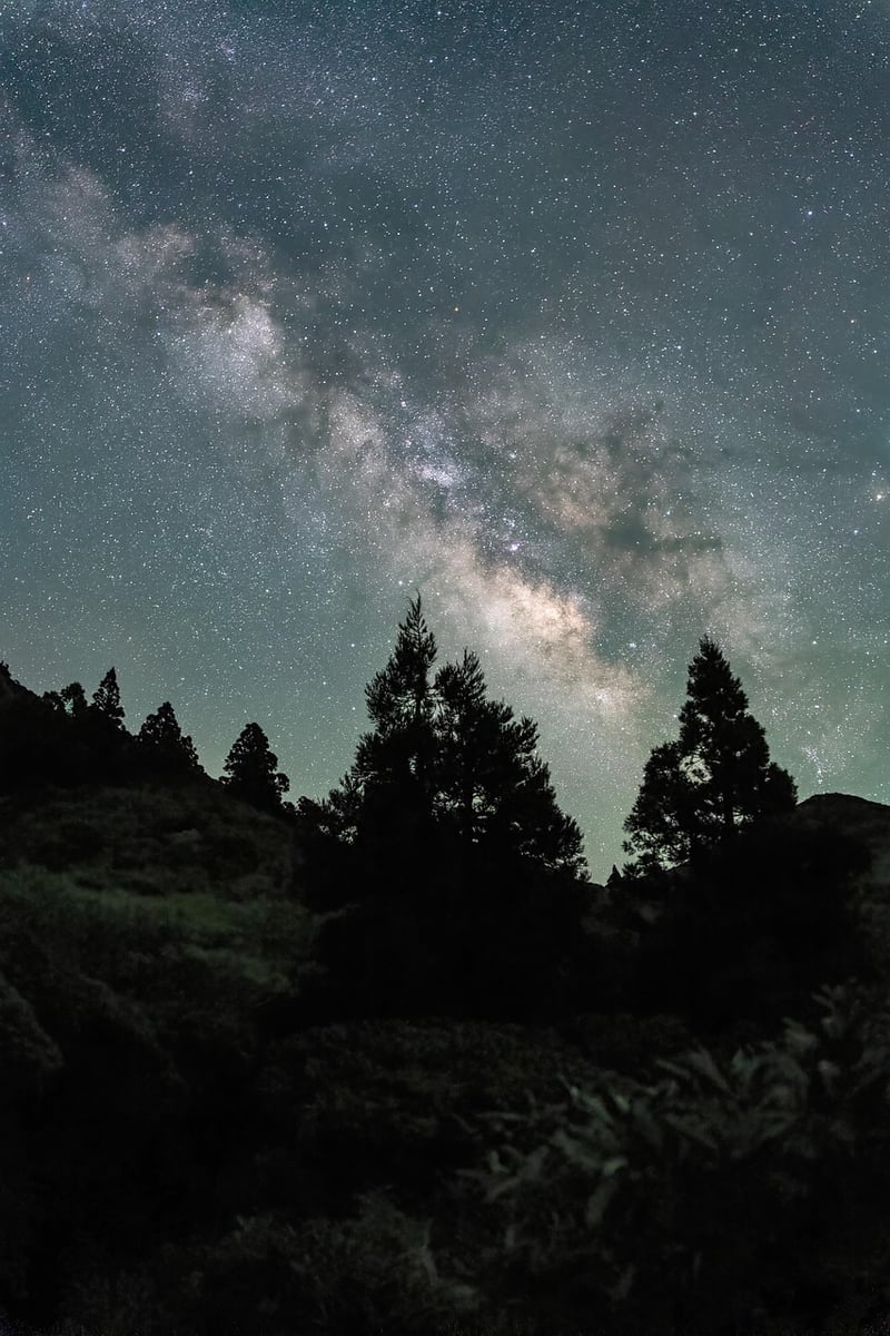 Starry Night Sky Backdrop